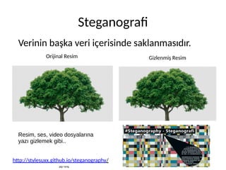 Steganografi
http://stylesuxx.github.io/steganography/
Orijinal Resim Gizlenmiş Resim
Verinin başka veri içerisinde saklanmasıdır.
Resim, ses, video dosyalarına
yazı gizlemek gibi..
jpg->png
 