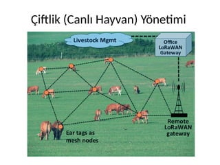 Çiftlik (Canlı Hayvan) Yönetimi
 