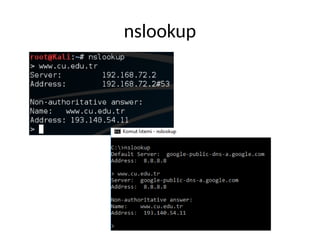 nslookup
 