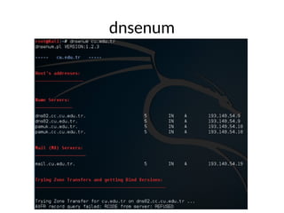 dnsenum
 