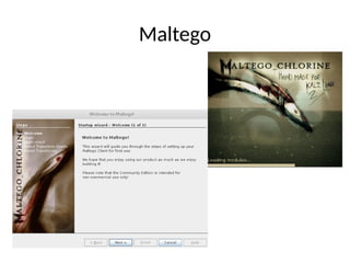 Maltego
 
