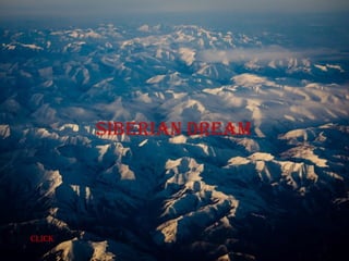 Siberian dream
click
 