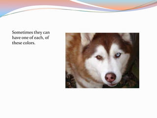 Sometimes they can
have one of each, of
these colors.
 