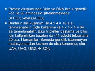 Sibernetik | PPT