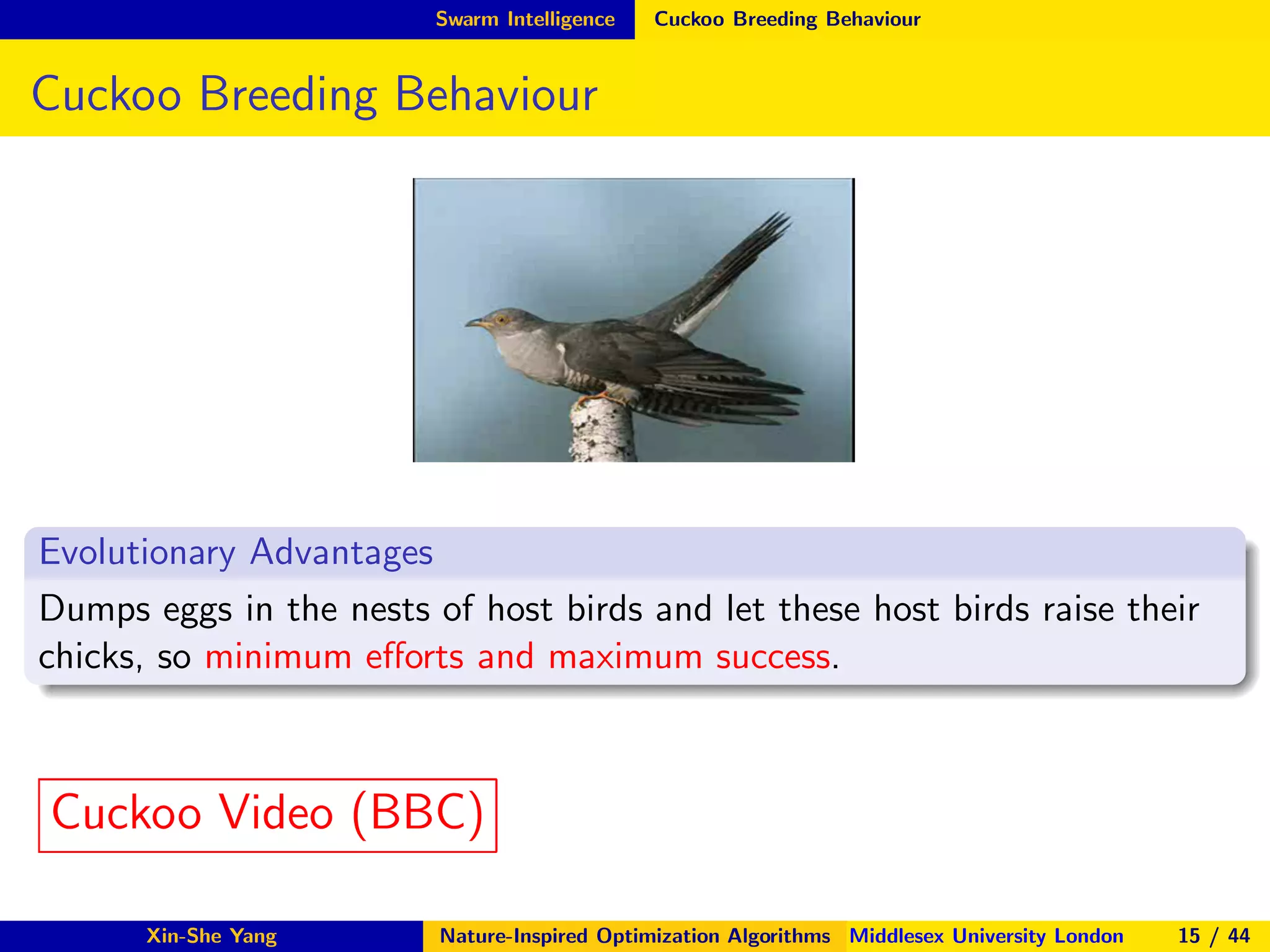 Swarm Intelligence Cuckoo Breeding Behaviour
Cuckoo Breeding Behaviour
Evolutionary Advantages
Dumps eggs in the nests of host birds and let these host birds raise their
chicks, so minimum eﬀorts and maximum success.
Cuckoo Video (BBC)
Xin-She Yang Nature-Inspired Optimization Algorithms Middlesex University London 15 / 44
 