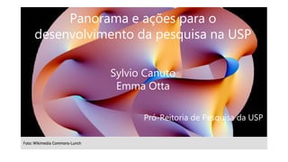 Panorama e ações para o
desenvolvimento da pesquisa na USP
Sylvio Canuto
Emma Otta
Pró-Reitoria de Pesquisa da USP
 
