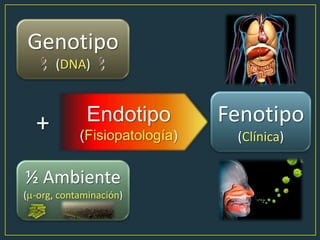 Endotipo
(Fisiopatología)
Genotipo
(DNA)
½ Ambiente
( -org, contaminación)
+ Fenotipo
(Clínica)
 