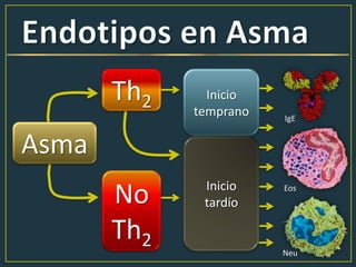 Asma
Th2
No
Th2
Inicio
temprano
Inicio
tardío
IgE
Eos
Neu
 