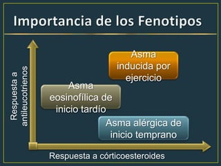 Respuestaa
antileucotrienos
Respuesta a córticoesteroides
Asma alérgica de
inicio temprano
Asma
eosinofílica de
inicio tardío
Asma
inducida por
ejercicio
 