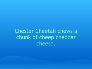 Chester Cheetah chews a chunk of cheep cheddar cheese.   