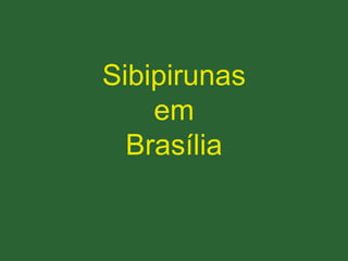 Sibipirunas
em
Brasília
 