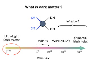 eVmDM ,
WIMP’s WIMPZILLA’s
primordial
black holes
}
SM
SM
DM
DM
}
inﬂation ?
Ultra-Light
Dark Matter
109
What is dark matt...