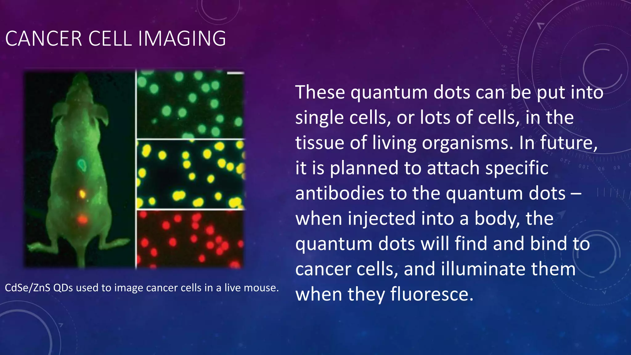 These quantum dots can be put into
single cells, or lots of cells, in the
tissue of living organisms. In future,
it is planned to attach specific
antibodies to the quantum dots –
when injected into a body, the
quantum dots will find and bind to
cancer cells, and illuminate them
when they fluoresce.CdSe/ZnS QDs used to image cancer cells in a live mouse.
CANCER CELL IMAGING
 