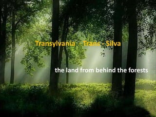 Transylvania - Trans - Silva


      the land from behind the forests
 