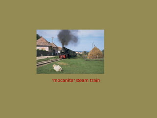 “mocanita” steam train
 