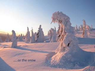 …..or the snow
 