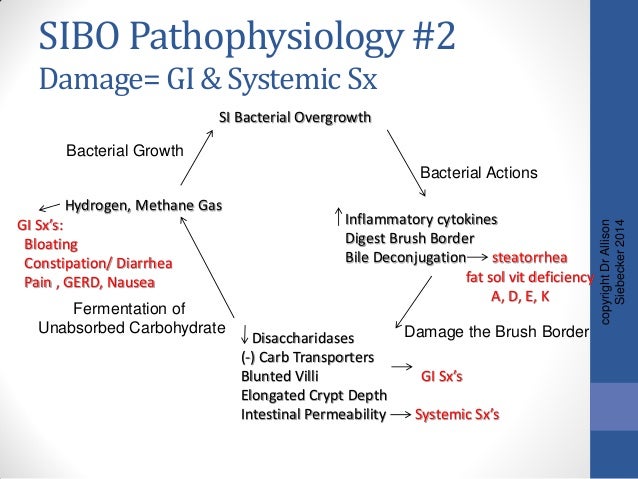 Gastroparesis bacterial overgrowth adhesions