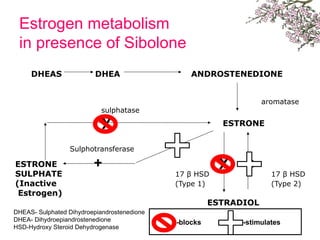 Estrogen metabolism
in presence of Sibolone
DHEAS DHEA ANDROSTENEDIONE
aromatase
sulphatase
ESTRONE
Sulphotransferase
ESTRONE
SULPHATE 17 β HSD 17 β HSD
(Inactive (Type 1) (Type 2)
Estrogen)
ESTRADIOL
Χ
Χ
+ +
DHEAS- Sulphated Dihydroepiandrostenedione
DHEA- Dihydroepiandrostenedione
HSD-Hydroxy Steroid Dehydrogenase
-blocks -stimulates
 