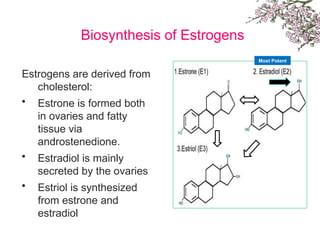 Biosynthesis of Estrogens
Estrogens are derived from
cholesterol:
• Estrone is formed both
in ovaries and fatty
tissue via
androstenedione.
• Estradiol is mainly
secreted by the ovaries
• Estriol is synthesized
from estrone and
estradiol
Most Potent
 