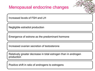 Menopausal endocrine changes
Increased levels of FSH and LH
Negligible estradiol production
Emergence of estrone as the predominant hormone
Increased ovarian secretion of testosterone
Relatively greater decrease in total estrogen than in androgen
production
Positive shift in ratio of androgens to estrogens
 