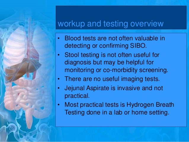 Is Candida Syndrome Real?