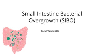Small Intestine Bacterial
Overgrowth (SIBO)
Rahul Valath 33Bi
 