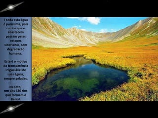 E toda esta água é puríssima, pois os rios que o abastecem passam pelas estepes siberianas, sem degradação humana.  Este é o motivo da transparência inigualável de suas águas, sempre geladas. Na foto,  um dos 330 rios que formam o Baikal. 