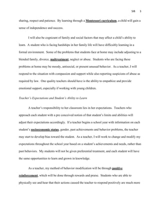 Sib sample essay 2