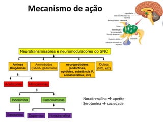 Mecanismo de ação
Noradrenalina  apetite
Serotonina  saciedade
 
