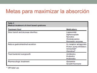 Metas para maximizar la absorción
 