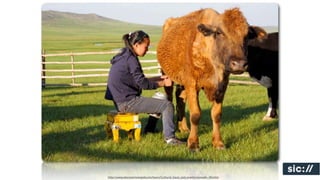 http://www.discovermongolia.mn/tours/Cultural_tours_and_events/nomadic_life.htm
 