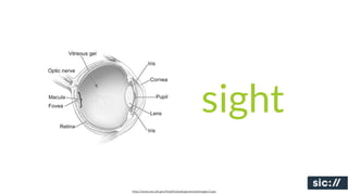 sight

http://www.nei.nih.gov/health/eyediagram/eyeimages3.asp
 