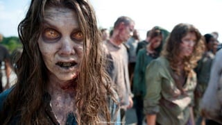 The Walking Dead Season 2
 