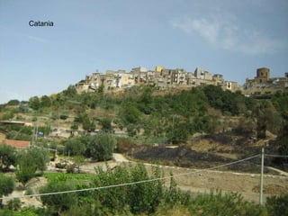 Catania 