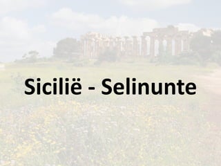 Sicilië - Selinunte

 