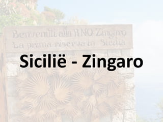 Sicilië - Zingaro

 