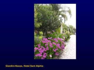 Giardini-Naxos, Hotel Sant Alphio 