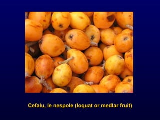 Cefalu, le nespole (loquat or medlar fruit) 