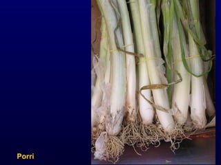 Porri 