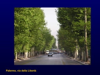 Palermo, via della Libert à 