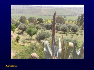 Agrigento 