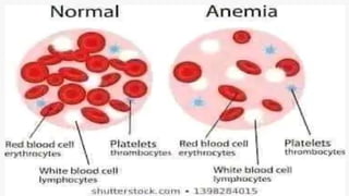 LOREM IPSUM
DOLOR
Lorem ipsum dolor sit amet,
consectetur adipisicing elit, sed do
eiusmod tempor incididunt ut
labore et dolore magna aliqua. Ut
enim ad minim veniam, quis
nostrud exercitation ullamco laboris
nisi ut aliquip ex ea commodo
consequat.
 