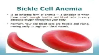 LOREM IPSUM DOLOR
Lorem ipsum dolor sit amet, consectetur adipisicing elit.
 