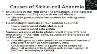 1 LOREM IPSUM DOLOR
CONTENTS
 