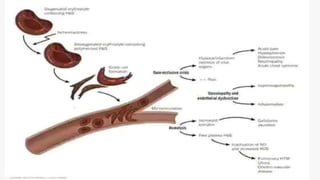 1 LOREM IPSUM DOLOR 2 LOREM IPSUM DOLOR
3 LOREM IPSUM DOLOR 4 LOREM IPSUM DOLOR
CONTENTS
 