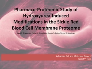 Pharmaco-Proteomic Study of
Hydroxyurea-Induced
Modifications in the Sickle Red
Blood Cell Membrane Proteome
Swati S. Ghatpande, Pankaj K. Choudhary, Charles T. Quinn, Steven R. Goodman
Advanced Cell and Molecular Biology
Isabel V. Neri
 