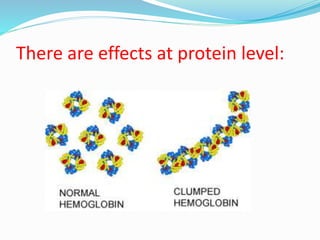 There are effects at protein level:
 