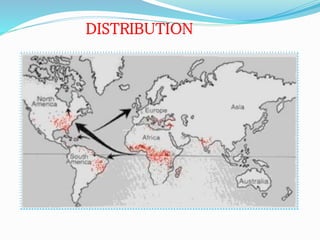 DISTRIBUTION
 