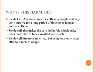 WHY IS THIS HARMFUL? Sickle Cell Anemia makes the cells very fragile and they don’t survive for a long period of time, or as long as normal cells do.  Sickle cell also makes the cells inflexible which make them more able to block small blood vessels.  Sickle cell disease is inherited, but symptoms only occur after four months of age.  