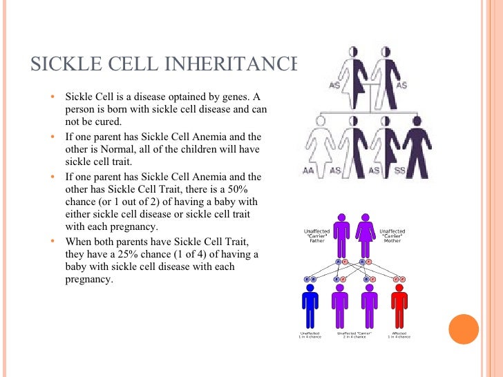 Student Work Sickle Cell
